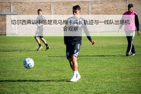 qie-er-xi-qing-xun-zhong-chang-chu-ke-wu-mei-ka-cheng-zhang-gui-ji-yu-yi-xian-dui-chu-chang-ji-hui-guan-cha-3-182.jpg