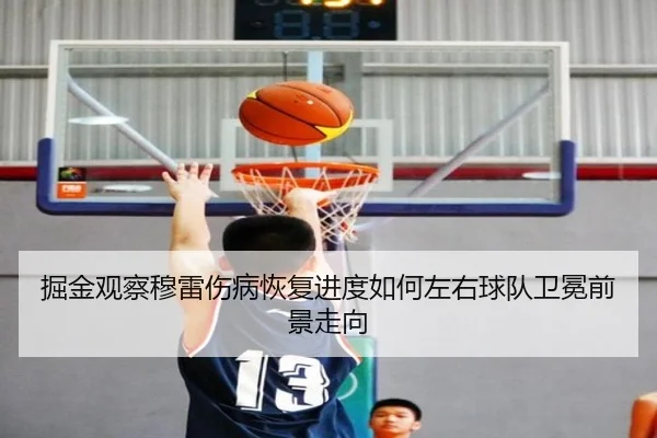掘金观察穆雷伤病恢复进度如何左右球队卫冕前景走向
