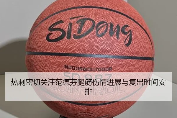 热刺密切关注范德芬腿筋伤情进展与复出时间安排